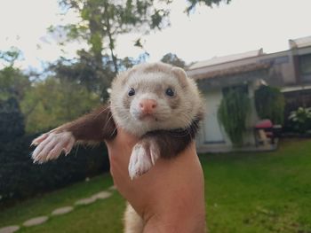 Close-up of hand holding stick