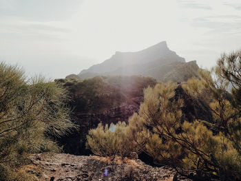 Scenic view of landscape and mountains against sky