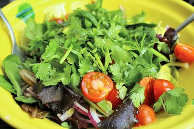 Close-up of salad in plate