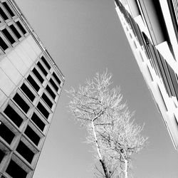 Low angle view of building