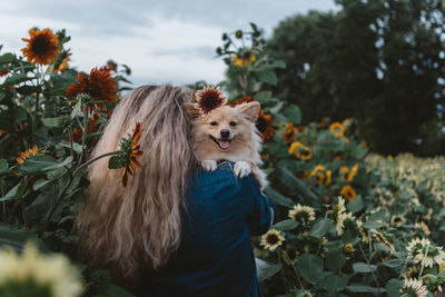 Dog amidst flowering plants against trees