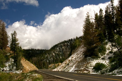 Road amidst trees against sky