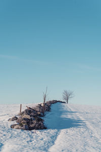 Bare trees on landscape against clear blue sky