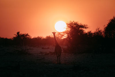 Silhouette person standing on field against sky during sunset