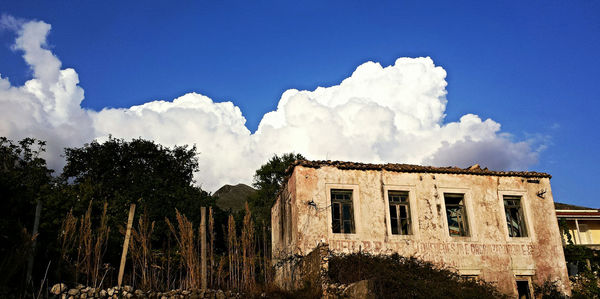 Panoramic view of trees against sky