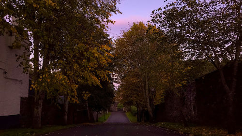 Road amidst trees during autumn