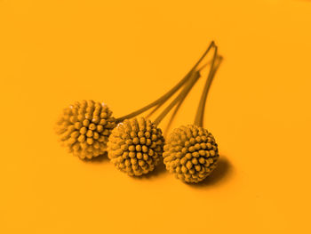 Close-up of fruits on table against yellow background