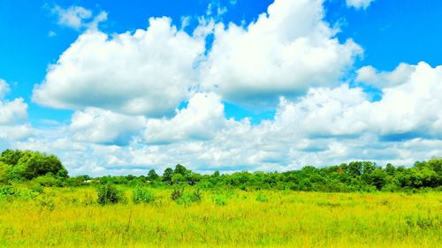 Scenic view of landscape against cloudy sky