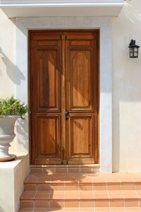 Closed wooden door of building