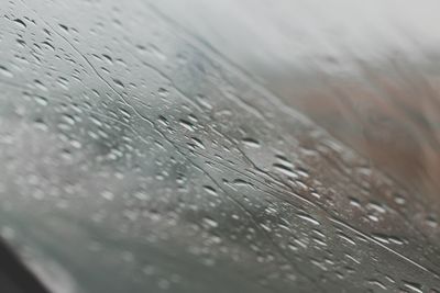 Close-up of water drops on wood