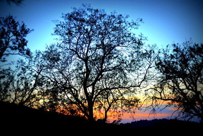 Silhouette of trees against sky at sunset