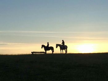 Silhouette of horses on landscape