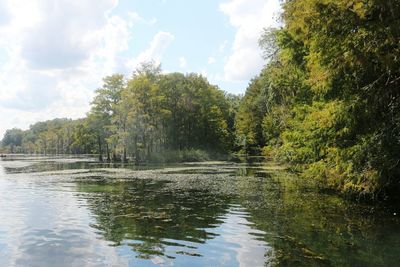 Scenic view of lake by trees against sky