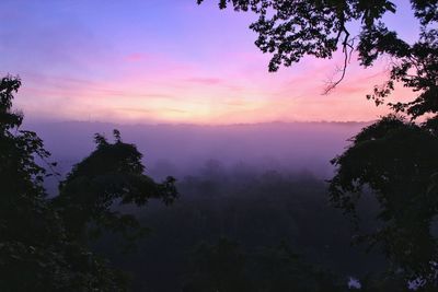 Scenic view of forest against sky at sunset