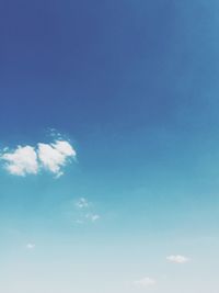 Low angle view of trees against blue sky