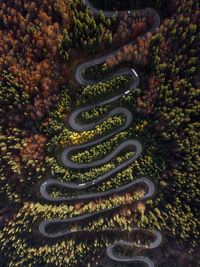 Aerial view of winding road and colorful forest  in romania,cheia,trandylvania. autumn season.