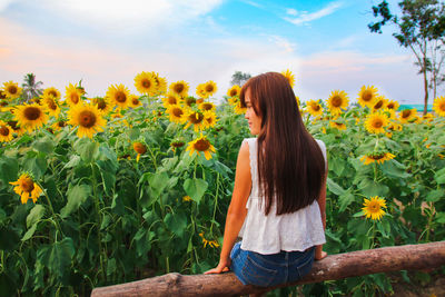 Rear view of woman looking at flowering plants while sitting on log