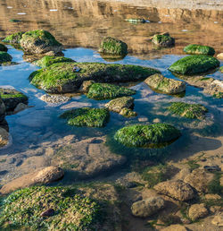 High angle view of rocks in water