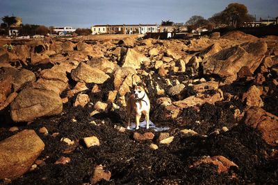 Midsection of woman on beach against sky