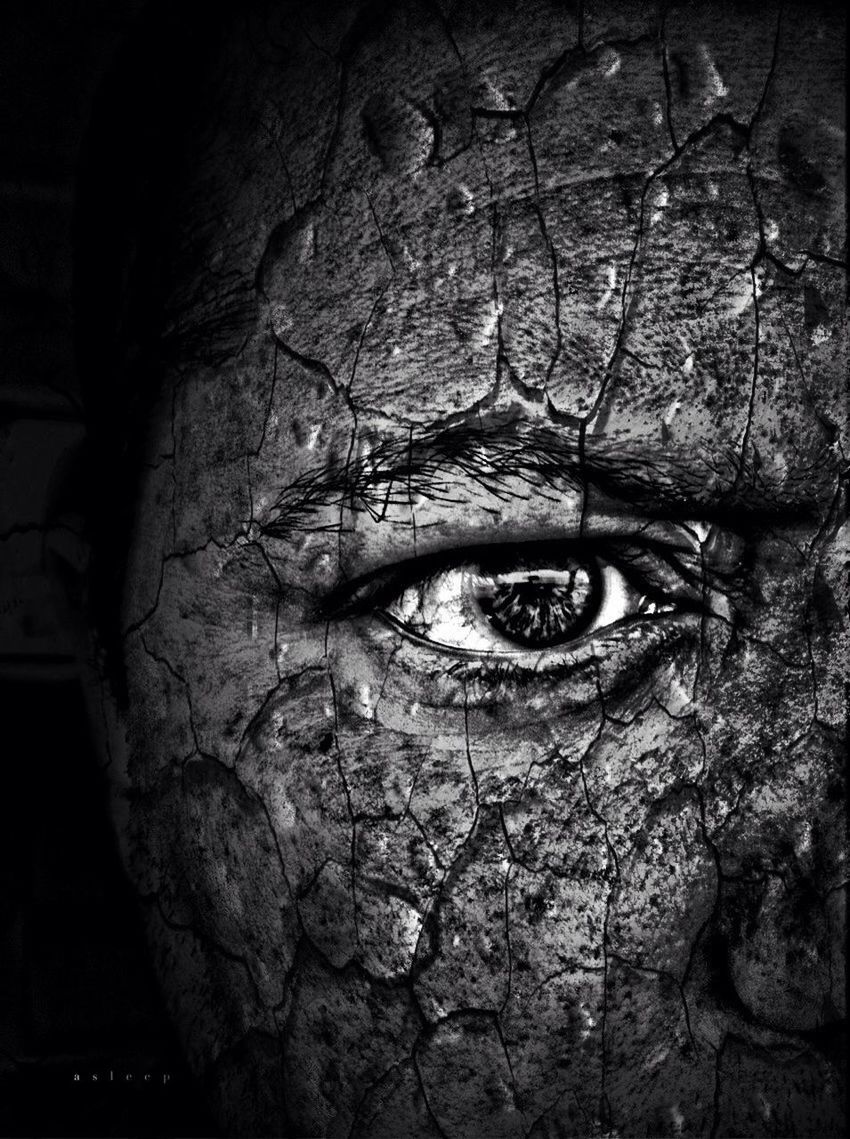 close-up, tree trunk, one person, textured, human face, tree, portrait, human eye, front view, looking at camera, rough, bark, spooky, outdoors, part of, full frame, backgrounds, hole, day, natural pattern