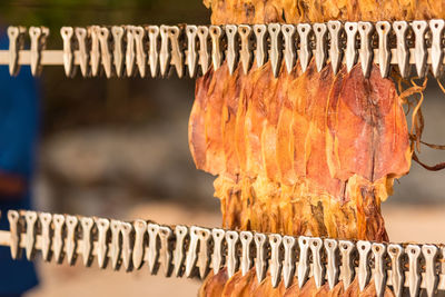 Close-up of carrots on wood