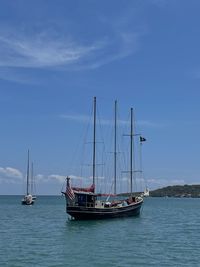 Sailboat sailing on sea against sky