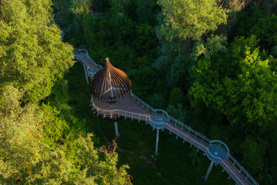 High angle view of giraffe