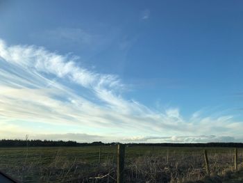 Scenic view of field against sky