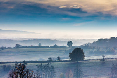 Scenic view of landscape against sky