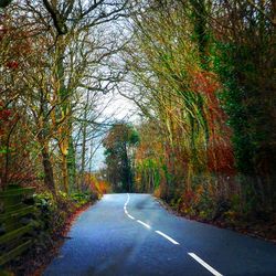 Road passing through trees