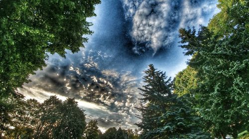 Low angle view of trees against cloudy sky