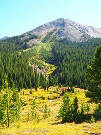 Scenic view of mountains