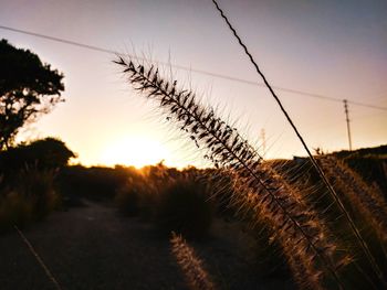 Scenic view of silhouette field against sky at sunset