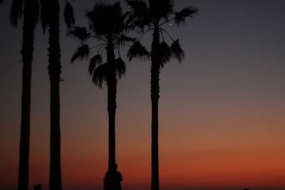 Low angle view of silhouette palm trees against sky during sunset