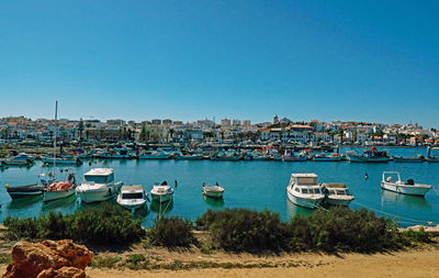 Boats moored in harbor