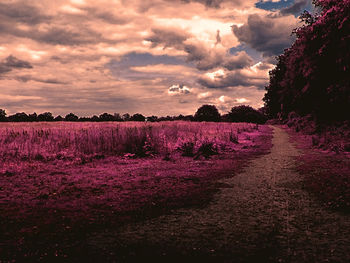 Scenic view of field against cloudy sky