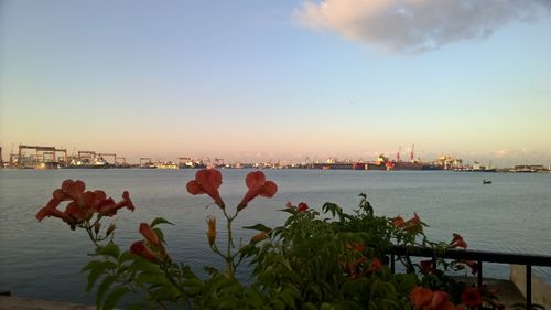 Scenic view of sea against sky during sunset