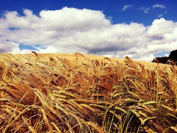 Scenic view of field against cloudy sky