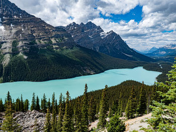 Panoramic view of peyto lake