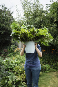 Woman holding bucket of freshly harvested chard