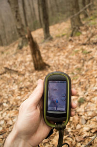 Hand holding mobile phone in forest