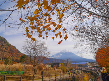 Scenic view of tree mountains against sky during autumn