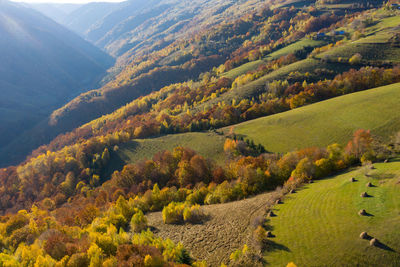 Seasonal autumn rural countryside panorama from above, aerial drone point of view