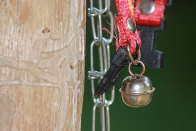 Close-up of chain hanging on tree trunk against wall