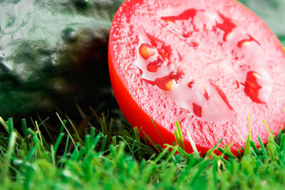 Close-up of strawberry on field