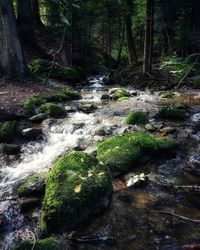 Stream flowing through rocks in forest