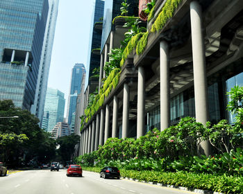 CITYSCAPE AGAINST TREES