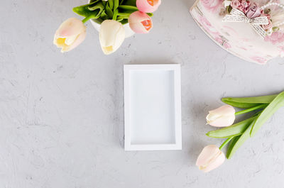 Directly above shot of white rose on table