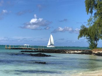 Sailboat sailing on sea against blue sky