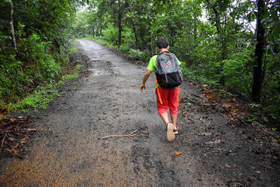Rear view of boy walking on road in forest